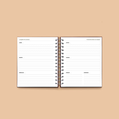 Planner atemporal